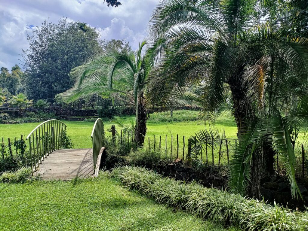 Find a job in Kampala's tourism sector by exploring the city's opportunities.
