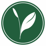 Kijani Forestry
